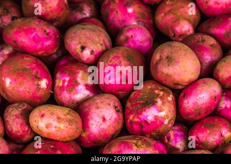 Rote Kartoffeln in einem Gemüsestände in Nuwara Eliya, Sri Lanka Stockfoto