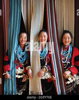 210728 NYINGCHI, 28. Juli 2021 Rinderreiher fliegen im Yigong