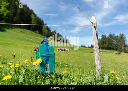 Elektrozaun auf einer Weide, Deutschland, Bayern Stockfoto