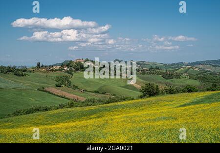 Die kultivierten Hügel rund um Castello di Serravalle - Schloss von Serravalle im Frühling. Provinz Bologna, Emilia und Romagna, Italien Stockfoto