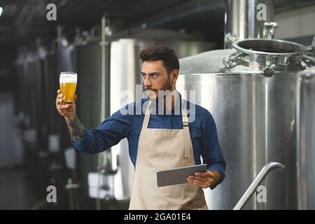 Gutaussehender Brauer prüft Getränk in der Fabrik, Spezialist arbeitet in der Brauerei Stockfoto