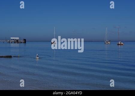 Segelboote und Anlegestelle Pumicestone Passage Bongaree Bribie Island Qld Stockfoto