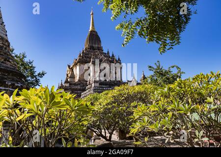 Der reich verzierte Gawdawpalin-Tempel ist Teil des bedeutenden Weltkulturerbes von Bagan in Myanmar Stockfoto