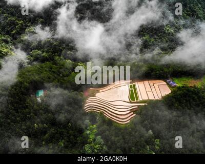 Schöne Reisterrasse in Binh Lieu Bezirk Quang Ninh Provinz Nordvietnam Stockfoto