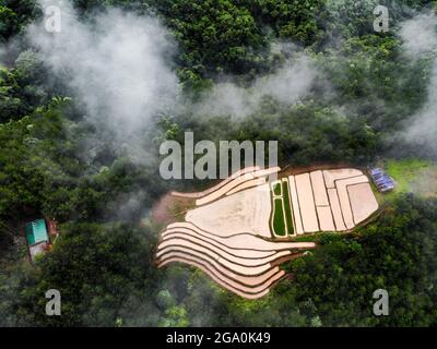 Schöne Reisterrasse in Binh Lieu Bezirk Quang Ninh Provinz Nordvietnam Stockfoto