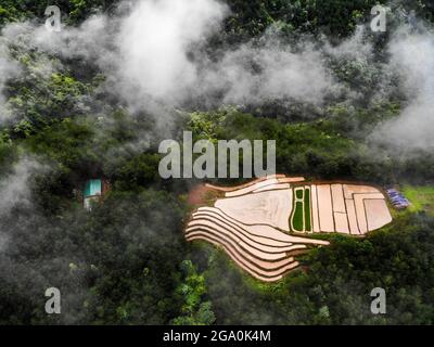 Schöne Reisterrasse in Binh Lieu Bezirk Quang Ninh Provinz Nordvietnam Stockfoto