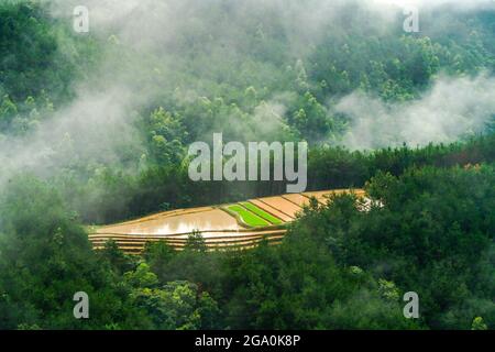 Schöne Reisterrasse in Binh Lieu Bezirk Quang Ninh Provinz Nordvietnam Stockfoto