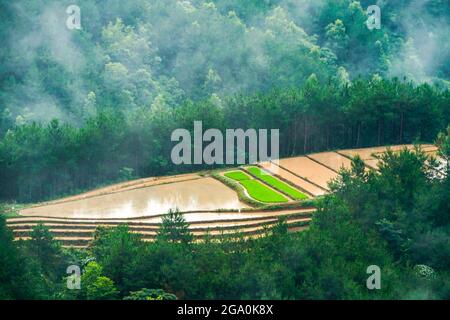 Schöne Reisterrasse in Binh Lieu Bezirk Quang Ninh Provinz Nordvietnam Stockfoto