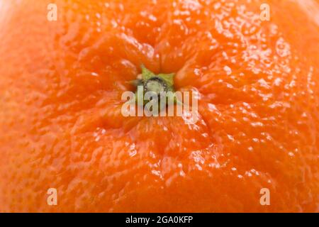 Tangerine Hautdetails, Makro über Kopf Stockfoto