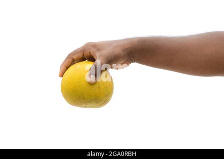 Köstliche reife Pomelofrucht mit Hand isoliert auf weißem Hintergrund Stockfoto