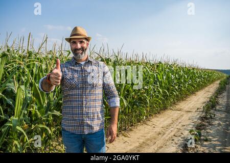 Stolzer Bauer steht in seinem wachsenden Maisfeld. Er ist zufrieden mit der erfolgreichen Saison. Stockfoto