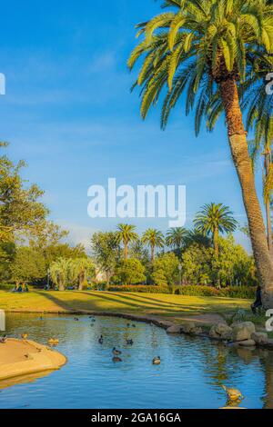 Ein warmer Dezember in Santa Barbara, Kalifornien Stockfoto