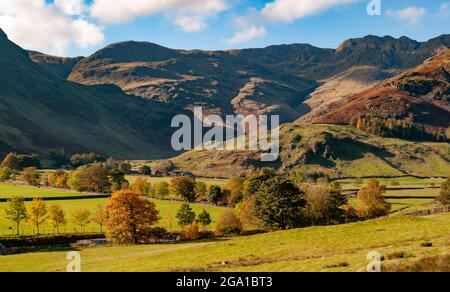 Herbst oder Herbst auf den unteren Hängen des Bow fiel aus Langdale Valley im Lake District, England mit Crinkle Crags im Hintergrund Stockfoto