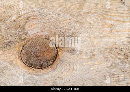 Ein Knoten in einem Holzbrett, Nahaufnahme Hintergrund Foto Textur Stockfoto