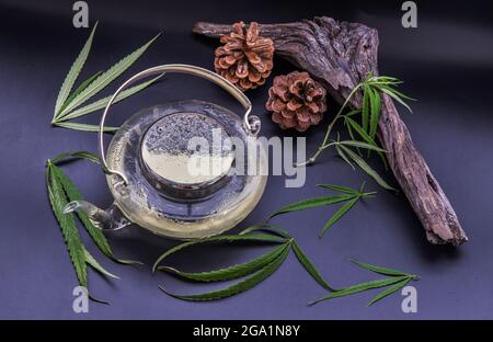 Cannabis Kräutertee aus Teekannen und Stiel mit grünen Marihuanablättern auf schwarzem Hintergrund. Medizinische Zwecke für Schlaf und Angst. Kräutertee und gesund Stockfoto
