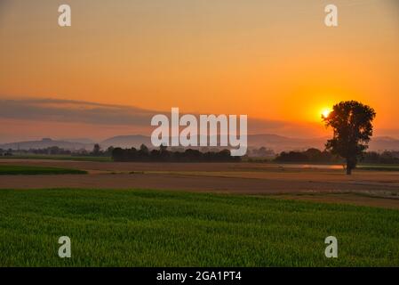 Sonnenuntergang im Ortenau in Deutschland bei Mahlberg Stockfoto