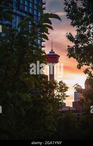 Der Sonnenaufgang Leuchtet Rund Um Den Calgary Tower Stockfoto