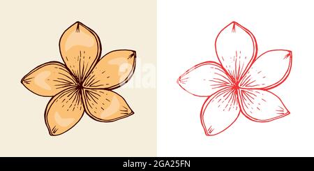 Blühende Pflanzen. Tropische oder exotische Blätter und Blätter. Strelitzia, Hibiscus, Plumeria. Vintage-Farn. Gravierte Blumen. Von Hand gezeichnet. Botanischer Hintergrund Stock Vektor