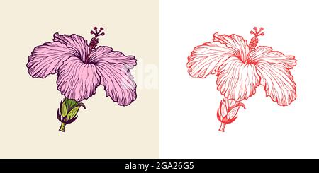 Strelitzia, Hibiscus, Plumeria. Blühende Pflanzen. Tropische oder exotische Blätter und Blätter. Vintage-Farn. Gravierte Blumen. Von Hand gezeichnet. Botanischer Hintergrund Stock Vektor