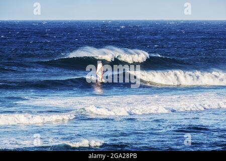 Windsurfen im Ho'okipa Beach Park in der Nähe von Paia; Maui, Hawaii, Vereinigte Staaten von Amerika Stockfoto