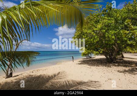 Anse du Souffleur, Port-Louis, Grande-Terre, Guadeloupe, Französisch-Westindien; Port-Louis, Grande-Terre, Guadeloupe, Frankreich Stockfoto