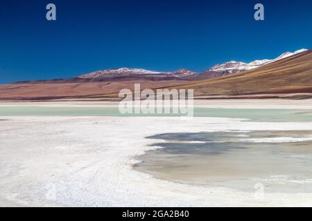 Laguna Blanca See in Reserva Nacional de Fauna Andina Eduardo Avaroa Schutzgebiet, Bolivien Stockfoto