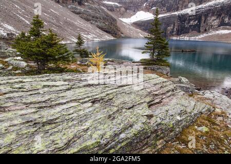 OESA-See im Yoho-Nationalpark; British Columbia, Kanada Stockfoto