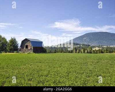 Creston Barn mit einem Brachfeld im Vordergrund und einem Berggipfel im Hintergrund an einem sonnigen Tag; Creston, Alberta, Kanada Stockfoto