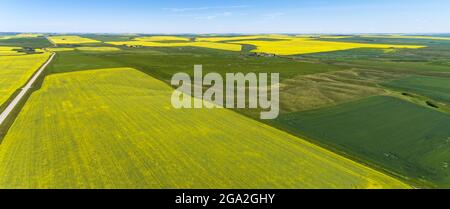 Luftaufnahme einer Landstraße neben blühenden Rapsfeldern, die neben grünen Feldern unter blauem Himmel ragen Stockfoto