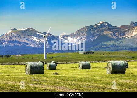 Runde große Heuballen und eine Windturbine auf einem Feld mit Ausläufern und den Rocky Mountains, die an einem sonnigen Tag am Horizont auftauchen Stockfoto