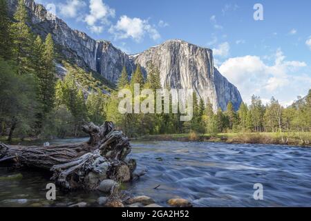 Yosemite Falls und der Merced River im Yosemite National Park; Kalifornien, Vereinigte Staaten von Amerika Stockfoto