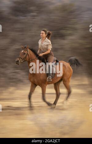 Frau, die auf der Savanne der Gabus Game Ranch (Equus ferus caballus) an Bäumen reitend; Otavi, Otjozondjupa, Namibia Stockfoto