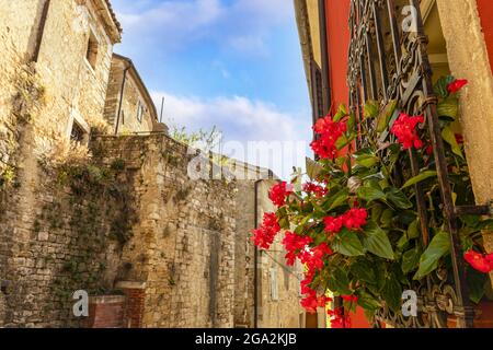 Nahaufnahme von hellen, roten Blumen, die durch einen eisernen Fenstergrill blühen, und den alten Steingebäuden, die die Straßen des mittelalterlichen Dorfes Mot säumen... Stockfoto