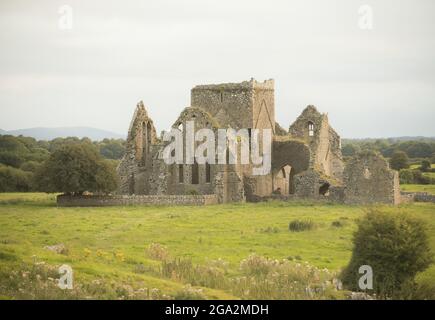 Die Steinruinen der Zisterzienser-Hore-Abtei, die auf einem Grasfeld (ursprünglich ein Benediktiner-Kloster) aus dem Jahr 1272 liegt Stockfoto