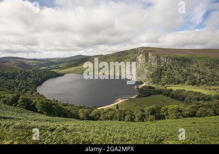 Überblick über den Guinness Lake (Lough Tay) in Sallys Gap, eine malerische Fahrt durch die Wicklow Mountains; County Wicklow, Irland Stockfoto