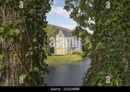 Blick auf das St Finbarr's Oratory am Gouganebarra Lake durch mit Weinreben bedeckte Baumstämme; Ballingeary, County Cork, Irland Stockfoto