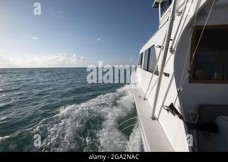 Nahaufnahme der Hafenseite eines Offshore-Sportfischerbootes, das auf See fuhr; Key West, Florida, USA Stockfoto