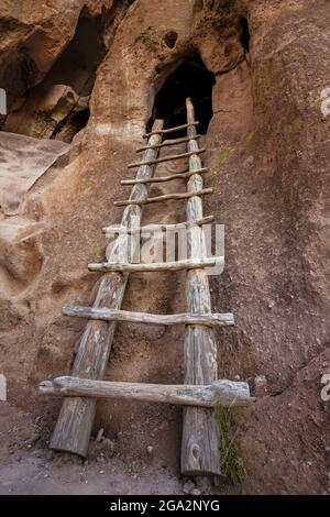 Eine hölzerne Leiter in den Ruinen von Pueblo führt zu einer Höhlenwohnung des Vorfahren Puebloans Stockfoto