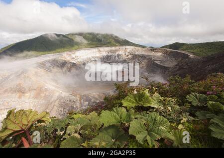 Rauchige Dämpfe, die aus dem Krater am Gipfel des Poas Vulkans, einem aktiven Stratovulkan im Poas Volcano National Park, austreten Stockfoto