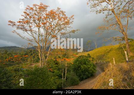 Eine unbefestigte Straße schlängelt sich durch die bergige Landschaft des Bezirks San Isidro de El Genearal, während die Sonne über einem stürmischen Himmel und... Stockfoto