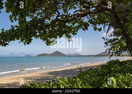 Der Sandstrand des Korallenmeers, der von Mangroven umgeben ist, säumte die Küste an der Pazifikküste von Palm Cove; Palm Cove, Queensland, Australien Stockfoto