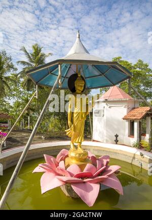 Wasserbrunnen mit einer stehenden Buddha-Statue auf einer steinernen Lotusblume auf dem Gelände des buddhistischen Klosters von Galagoda Shailatharama Viharaya Stockfoto