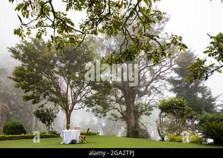 Nachmittagstee auf dem Rasen in Sir Thomas Liptons ehemals im Besitz befindenem Bungalow auf dem Dambatenne Tea Estate in Hill Country Stockfoto