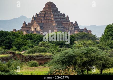 Morgenlicht über dem Dhammayan Gyi Tempel, dem größten Tempel der Bagan-Ebene; Bagan, Mandalay, Myanmar (Burma) Stockfoto