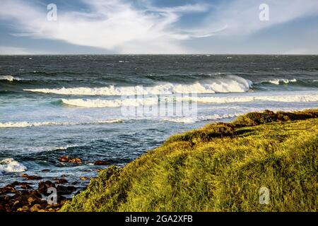 Wellen Rollen zum grasbewachsenen Ufer des Ho'okipa Beach Park mit einem Surfer und einem bewölkten Himmel über dem Horizont; Maui, Hawaii, USA Stockfoto