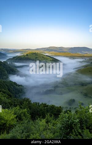 Morgenmist in den Tälern unterhalb von Salciua in Sub Piatra des Trascaului-Gebirges; Salciua, Sub Piatra, Siebenbürgen, Rumänien Stockfoto