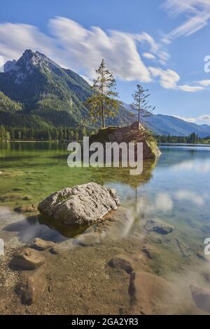 Norwegenfichte (Picea abies) auf einer kleinen Felseninsel im klaren Wasser des Hintersees, Bayerische Alpen Stockfoto