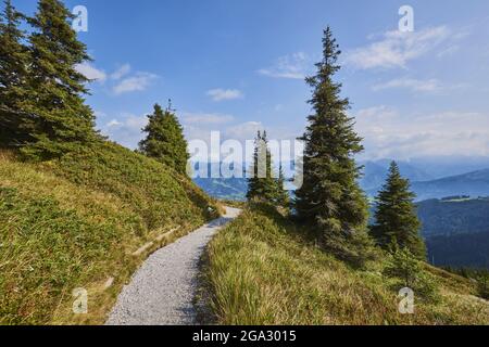 Wanderweg auf der Schüttenhöhe mit Blick auf die Berge oberhalb von Zell am See, Kaprun; Salzburger Land, Österreich Stockfoto