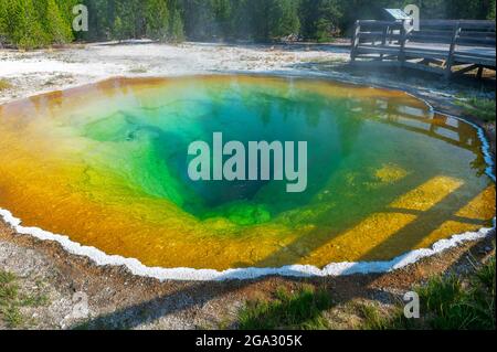 Der Morning Glory Pool, eine der beliebtesten Thermalquellen im Yellowstone National Park Stockfoto