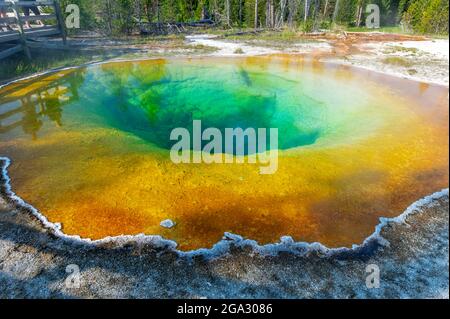 Der morgendliche Glory Pool von der Promenade im Yellowstone National Park, Wyoming, USA Stockfoto